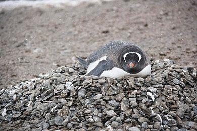 《海贼王：时光旅诗》现已推出 Steam首发特别好评